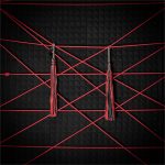 Floggers On Bungee Wall